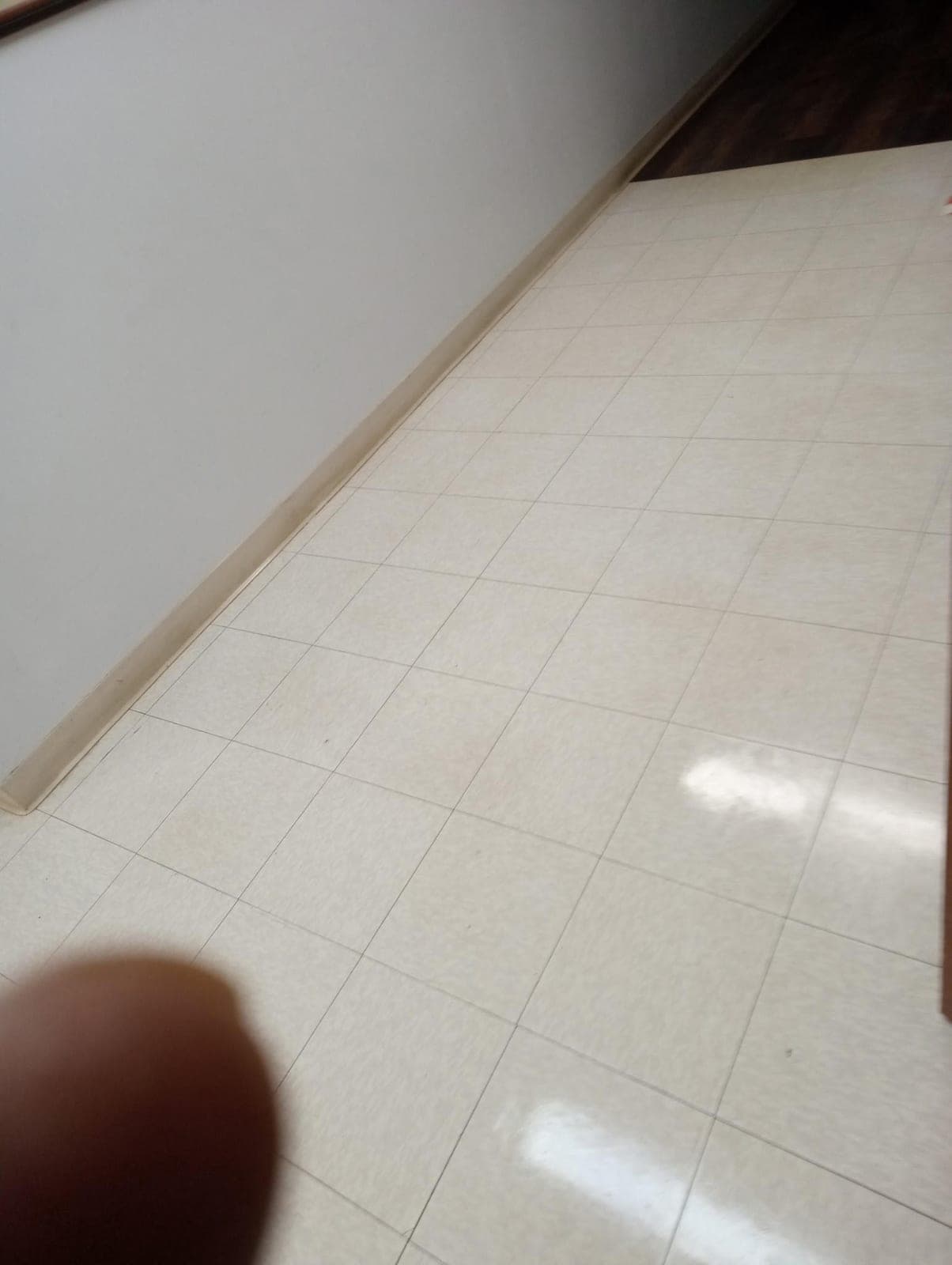 Office Floor Maintenance — after cleaning
