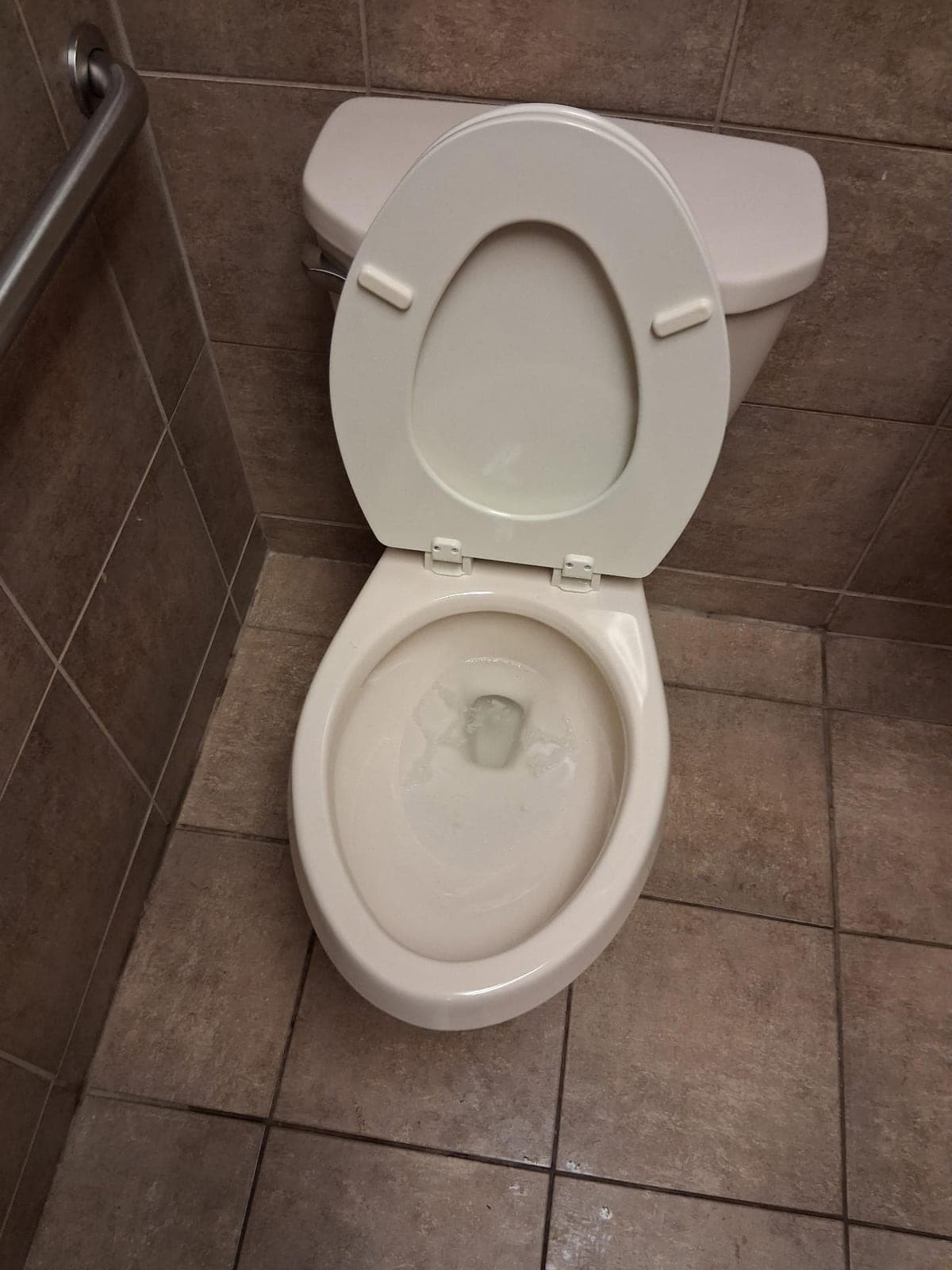 Toilet Sanitization — after cleaning